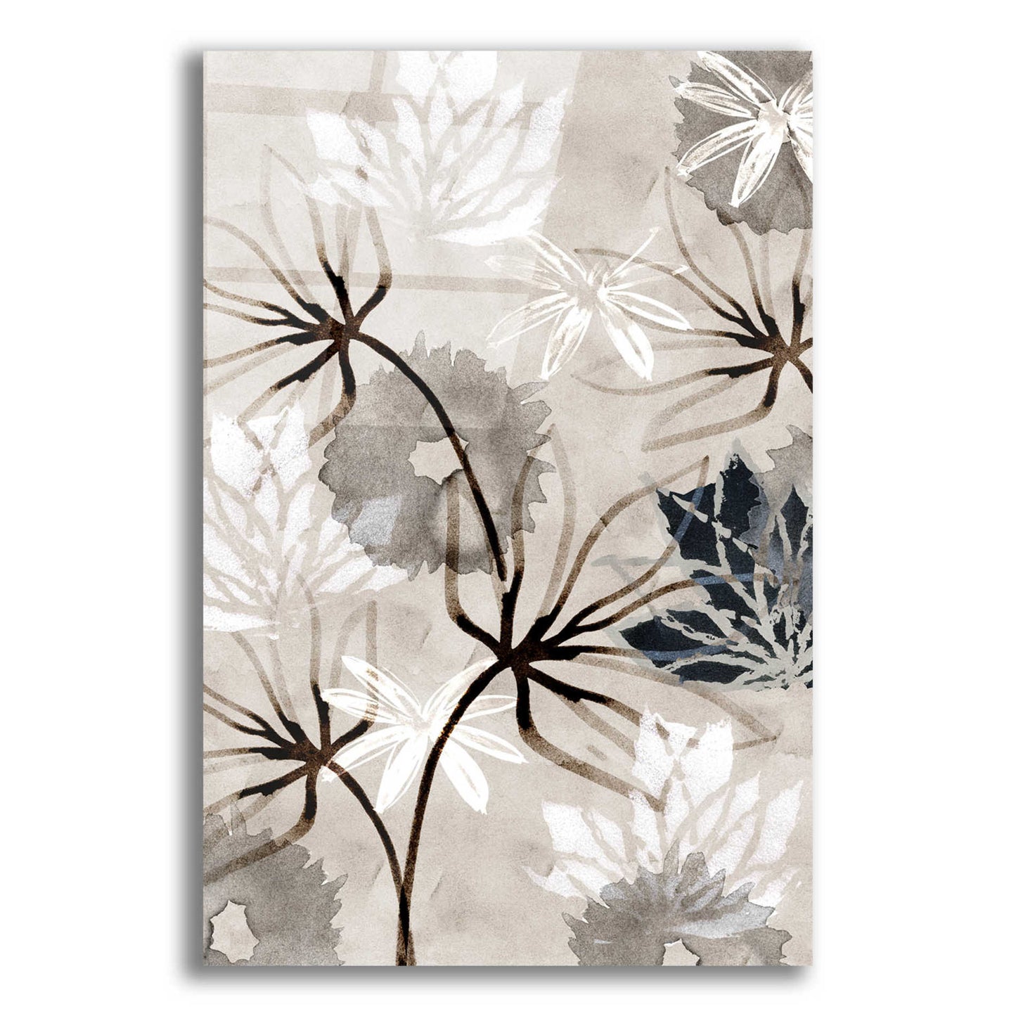 Epic Art 'Monochrome Flowers V' by Flora Kouta Acrylic Glass Wall Art,12x16