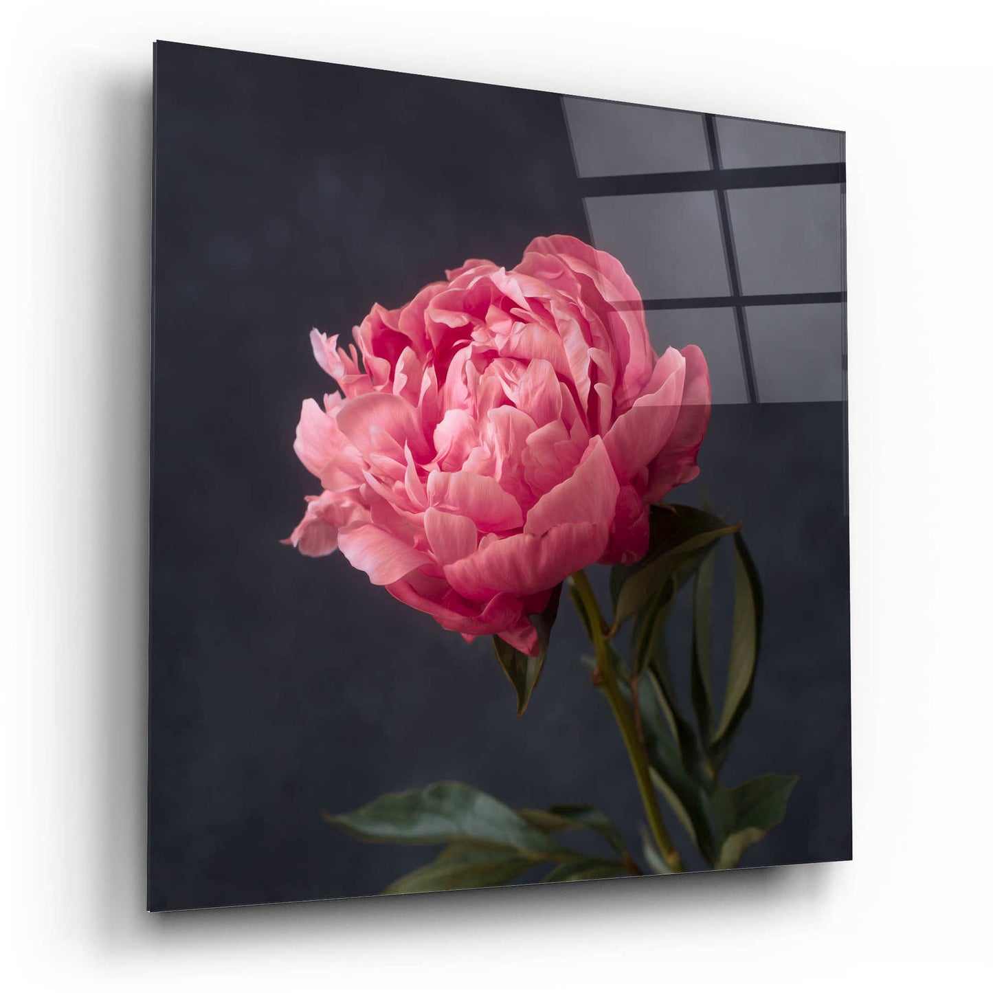 Epic Art 'Perfectly Pink' by Leah McLean Acrylic Glass Wall Art,12x12