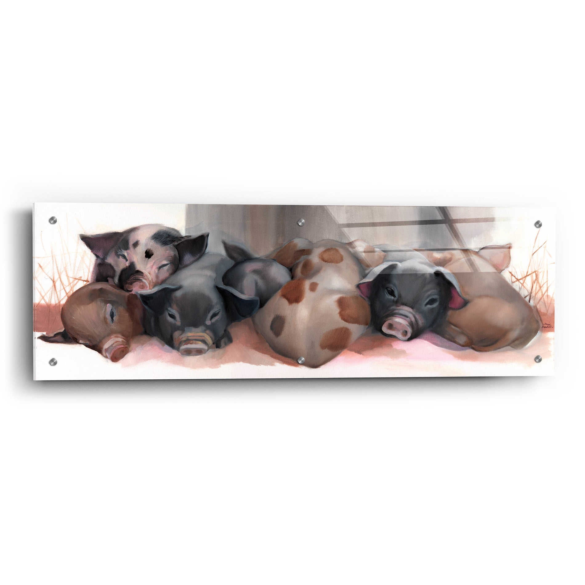 Epic Art 'Pig Pile' by Louise Montillio Acrylic Glass Wall Art,36x12