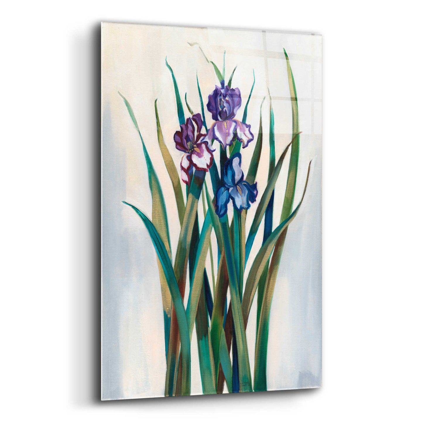 Epic Art 'Iris Jewels' by Louise Montillio Acrylic Glass Wall Art,12x16