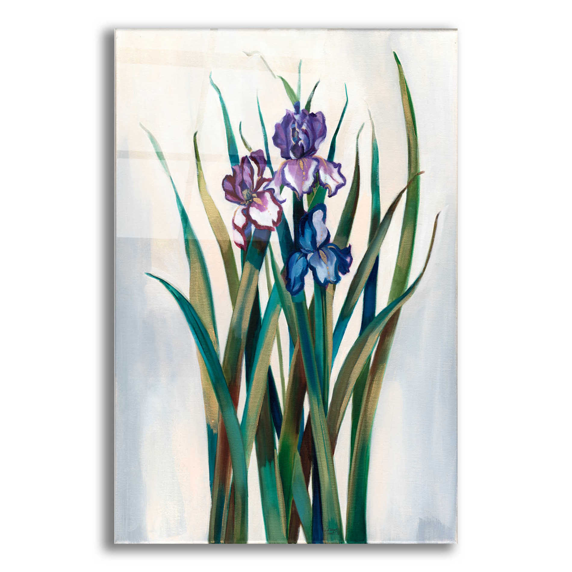 Epic Art 'Iris Jewels' by Louise Montillio Acrylic Glass Wall Art,12x16