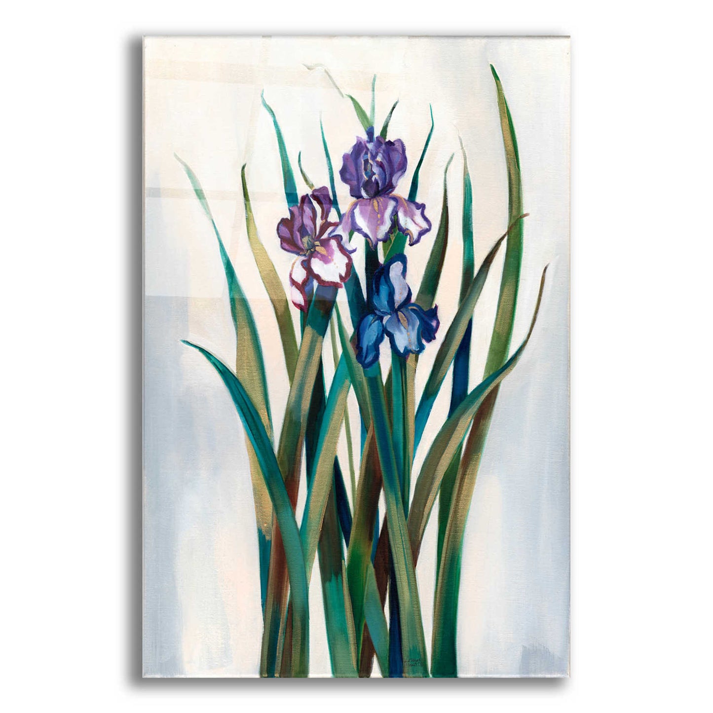 Epic Art 'Iris Jewels' by Louise Montillio Acrylic Glass Wall Art,16x24