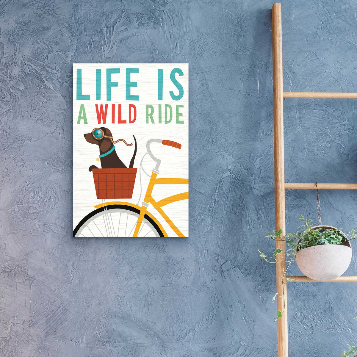 Epic Art 'Beach Bums Dachshund Bicycle I Life' by Michael Mullan, Acrylic Glass Wall Art,16x24