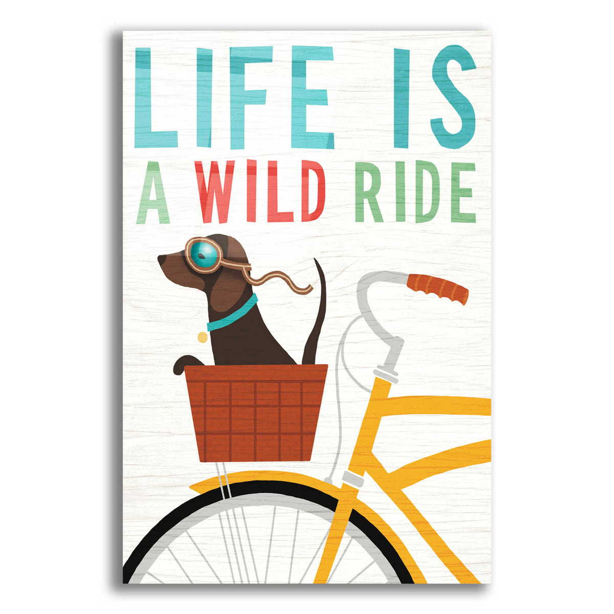 Epic Art 'Beach Bums Dachshund Bicycle I Life' by Michael Mullan, Acrylic Glass Wall Art