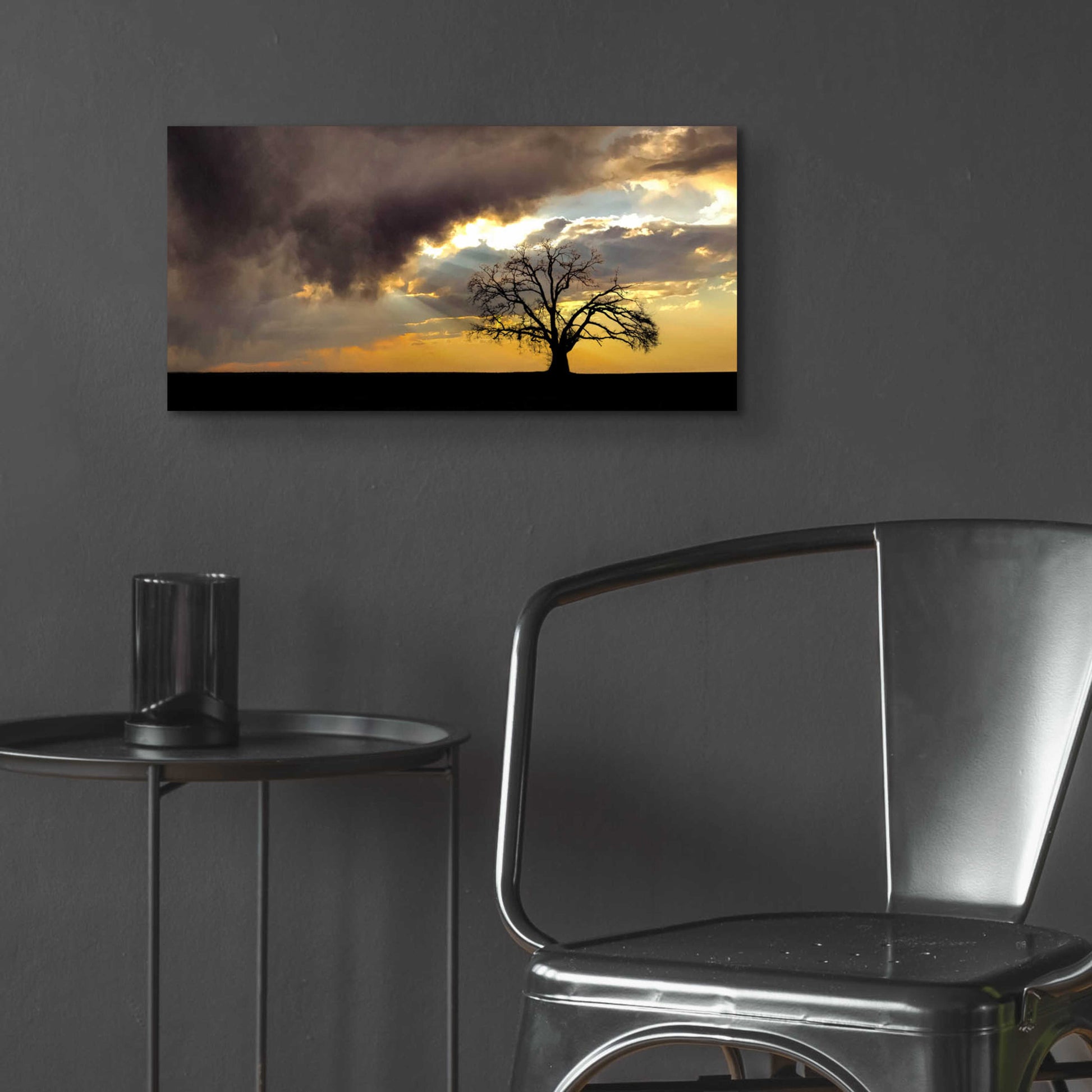 Epic Art  'Lone Tree In The Morning Light'  by Don Schwartz, Acrylic Glass Wall Art,24x12