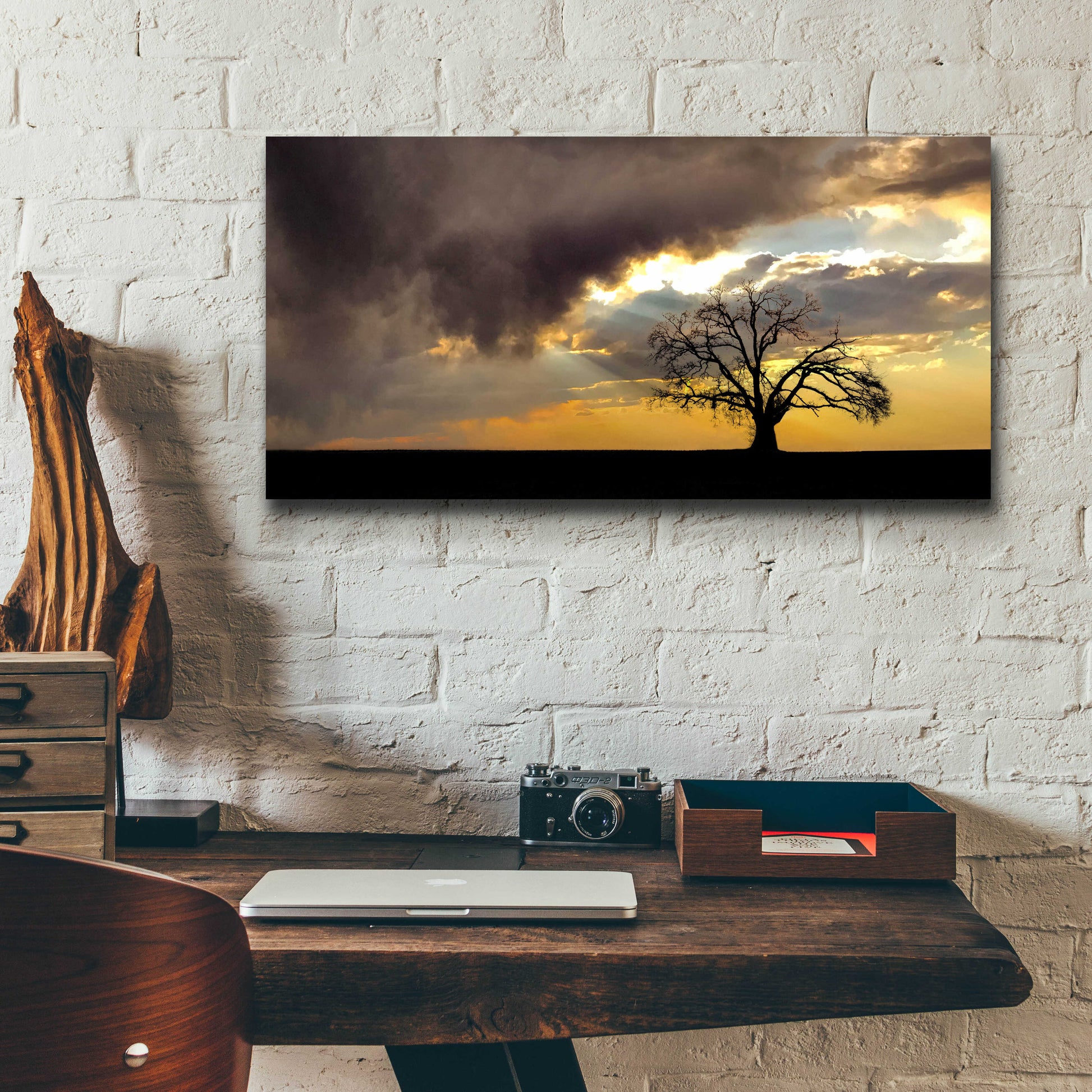 Epic Art  'Lone Tree In The Morning Light'  by Don Schwartz, Acrylic Glass Wall Art,24x12