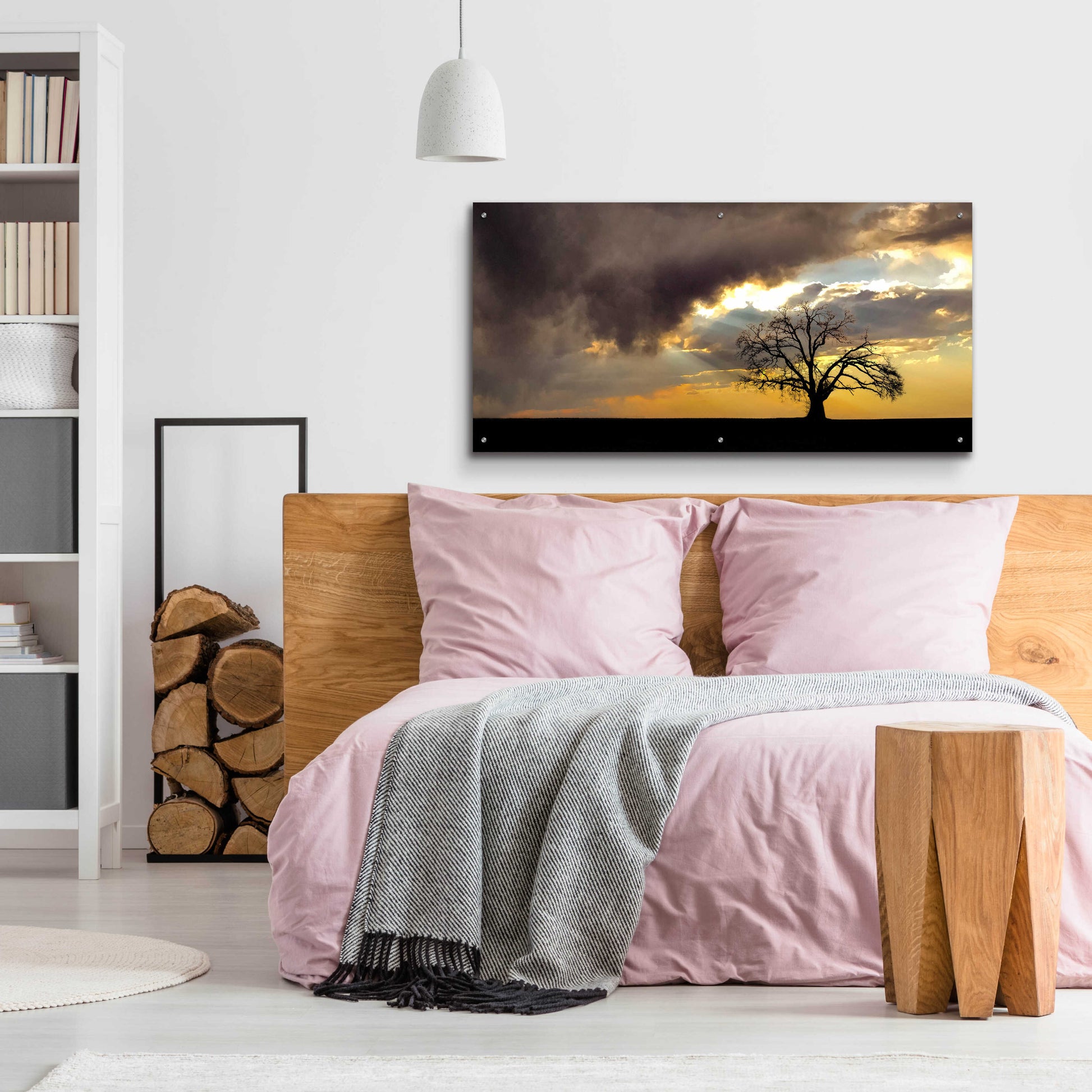 Epic Art  'Lone Tree In The Morning Light'  by Don Schwartz, Acrylic Glass Wall Art,48x24