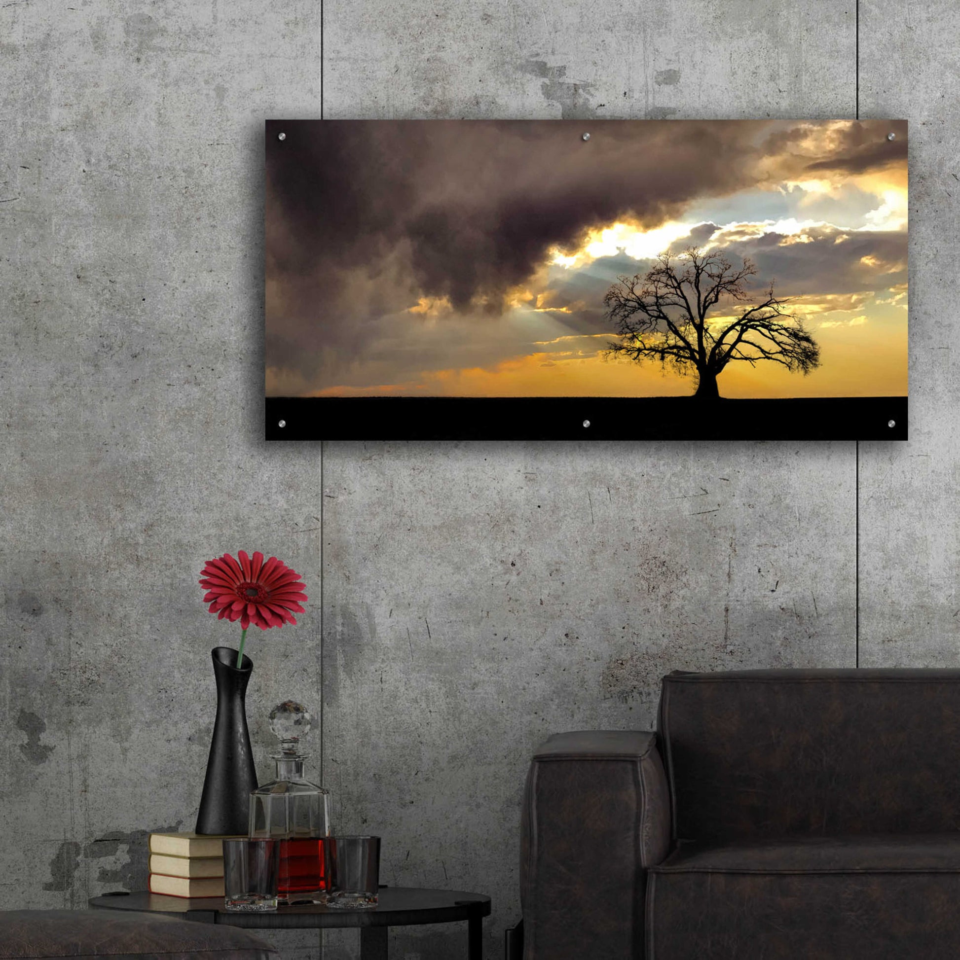 Epic Art  'Lone Tree In The Morning Light'  by Don Schwartz, Acrylic Glass Wall Art,48x24