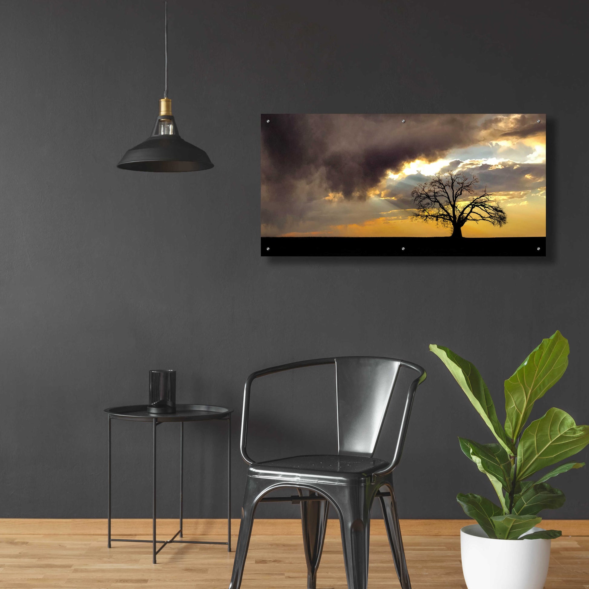 Epic Art  'Lone Tree In The Morning Light'  by Don Schwartz, Acrylic Glass Wall Art,48x24