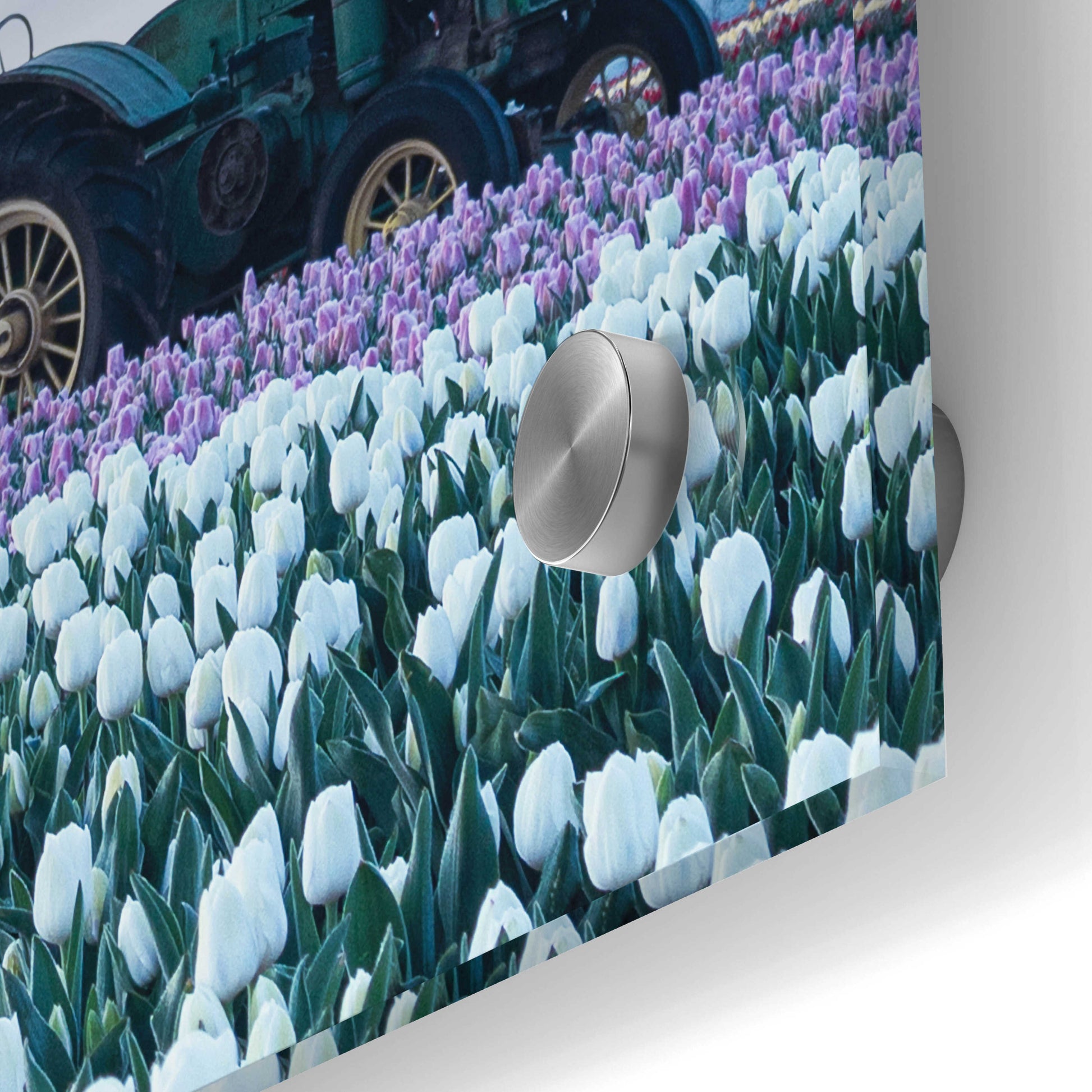 Epic Art  'Tractor Surrounded By Tulips'  by Don Schwartz, Acrylic Glass Wall Art,24x36