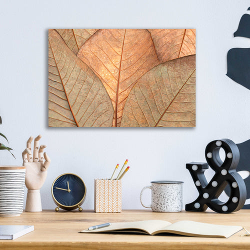 Epic Art  'Fallen Leaves'  by Don Schwartz, Acrylic Glass Wall Art,16x12