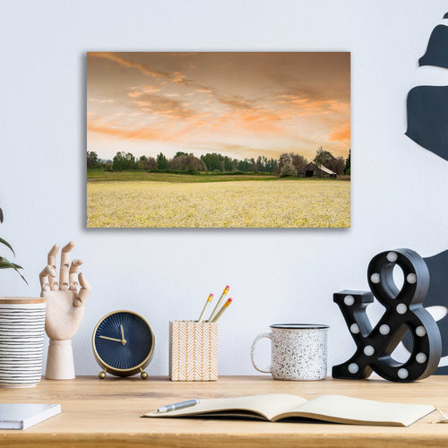 Epic Art  'Barn In The Field Of Spring Flowers'  by Don Schwartz, Acrylic Glass Wall Art,16x12