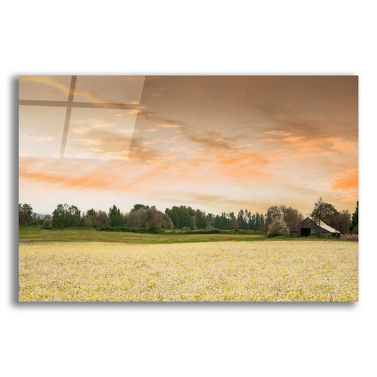 Epic Art  'Barn In The Field Of Spring Flowers'  by Don Schwartz, Acrylic Glass Wall Art