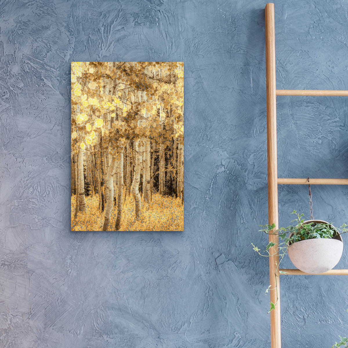 Epic Art  'Aspens In Late Autumn'  by Don Schwartz, Acrylic Glass Wall Art,16x24