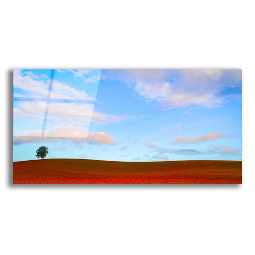 Epic Art  'Rolling Hills Of Clover'  by Don Schwartz, Acrylic Glass Wall Art