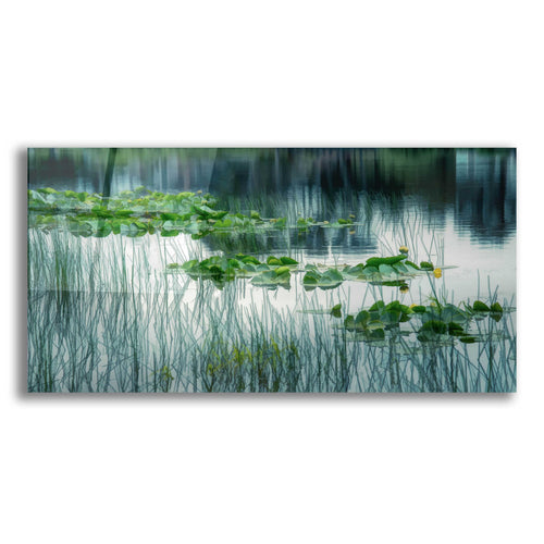 Epic Art  'Lakeside In Spring'  by Don Schwartz, Acrylic Glass Wall Art