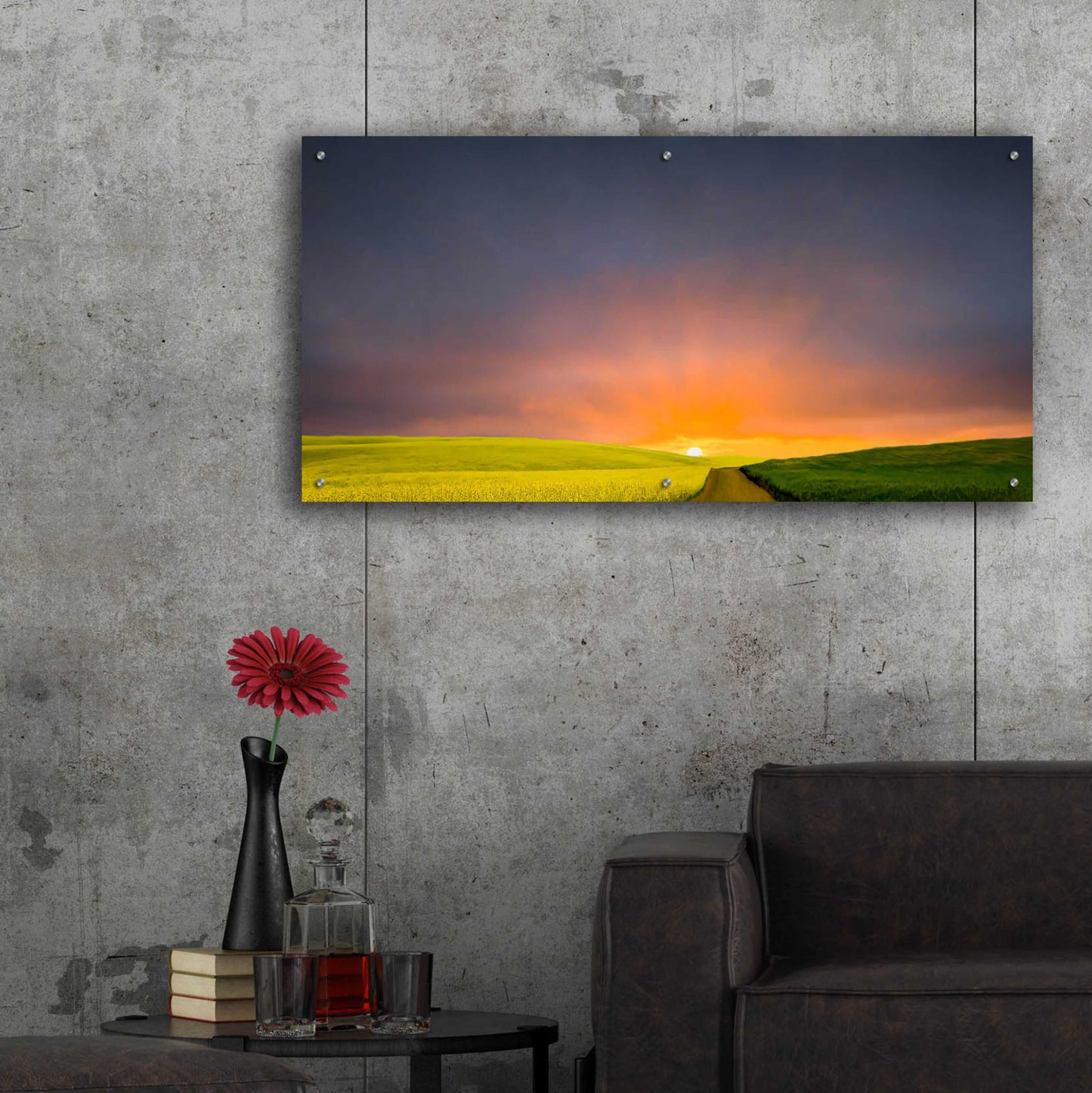 Epic Art  'Boundless'  by Don Schwartz, Acrylic Glass Wall Art,48x24