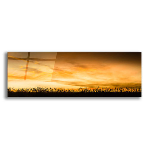 Epic Art  'Pastoral Sunrise'  by Don Schwartz, Acrylic Glass Wall Art