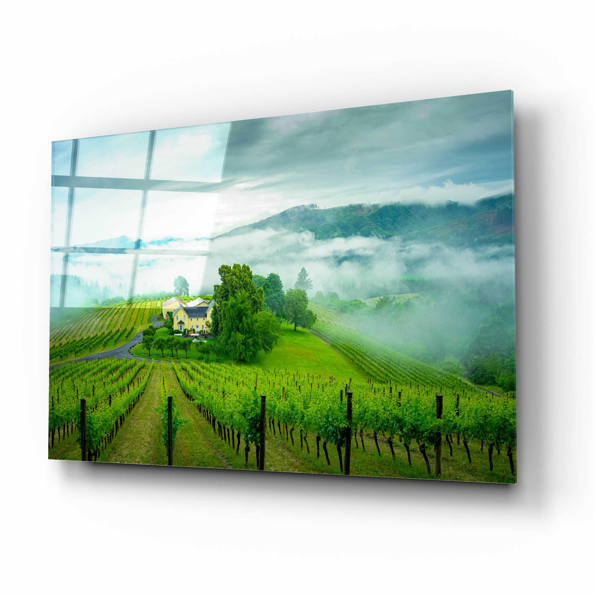 Epic Art  'Vineyard In The Mist'  by Don Schwartz, Acrylic Glass Wall Art,16x12