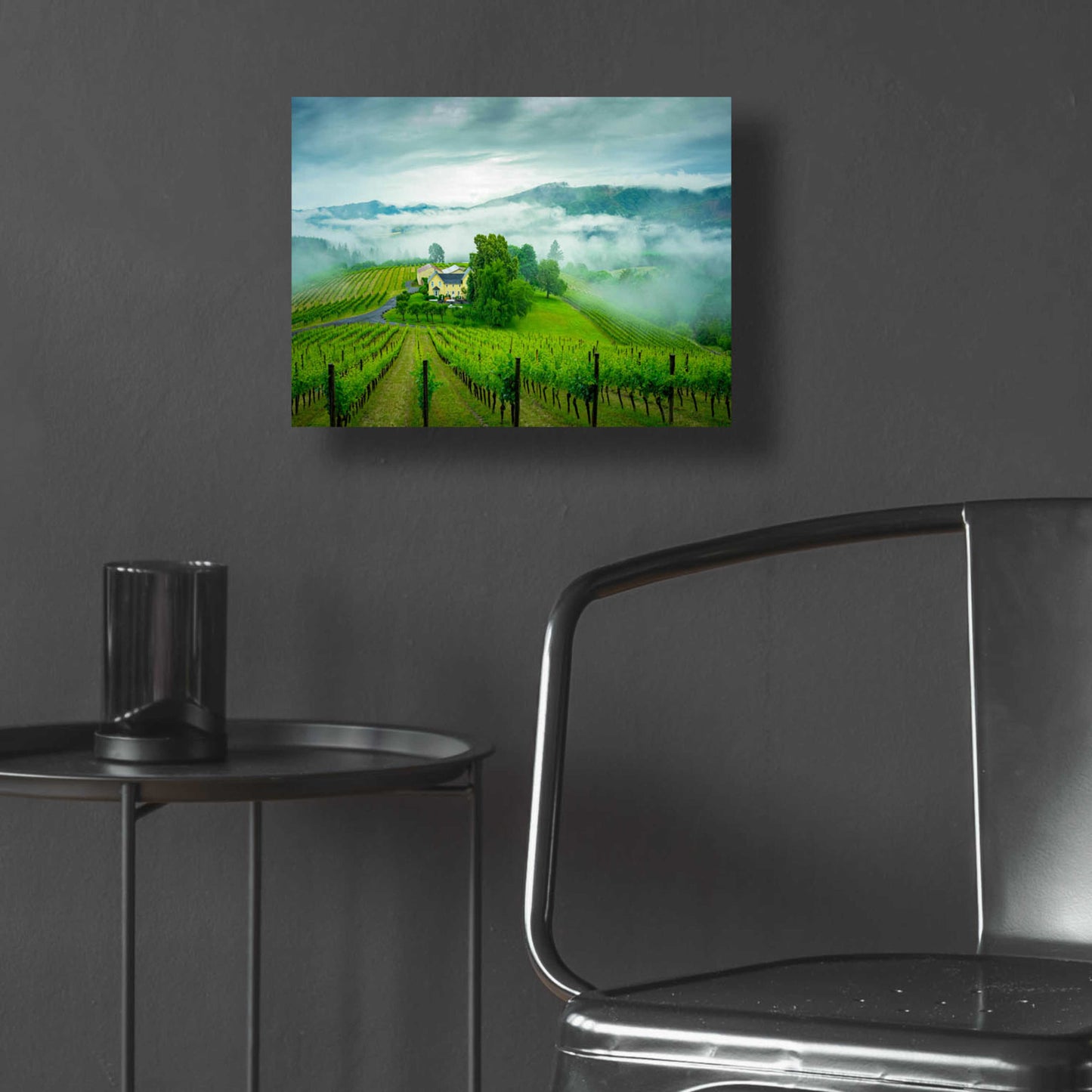 Epic Art  'Vineyard In The Mist'  by Don Schwartz, Acrylic Glass Wall Art,16x12