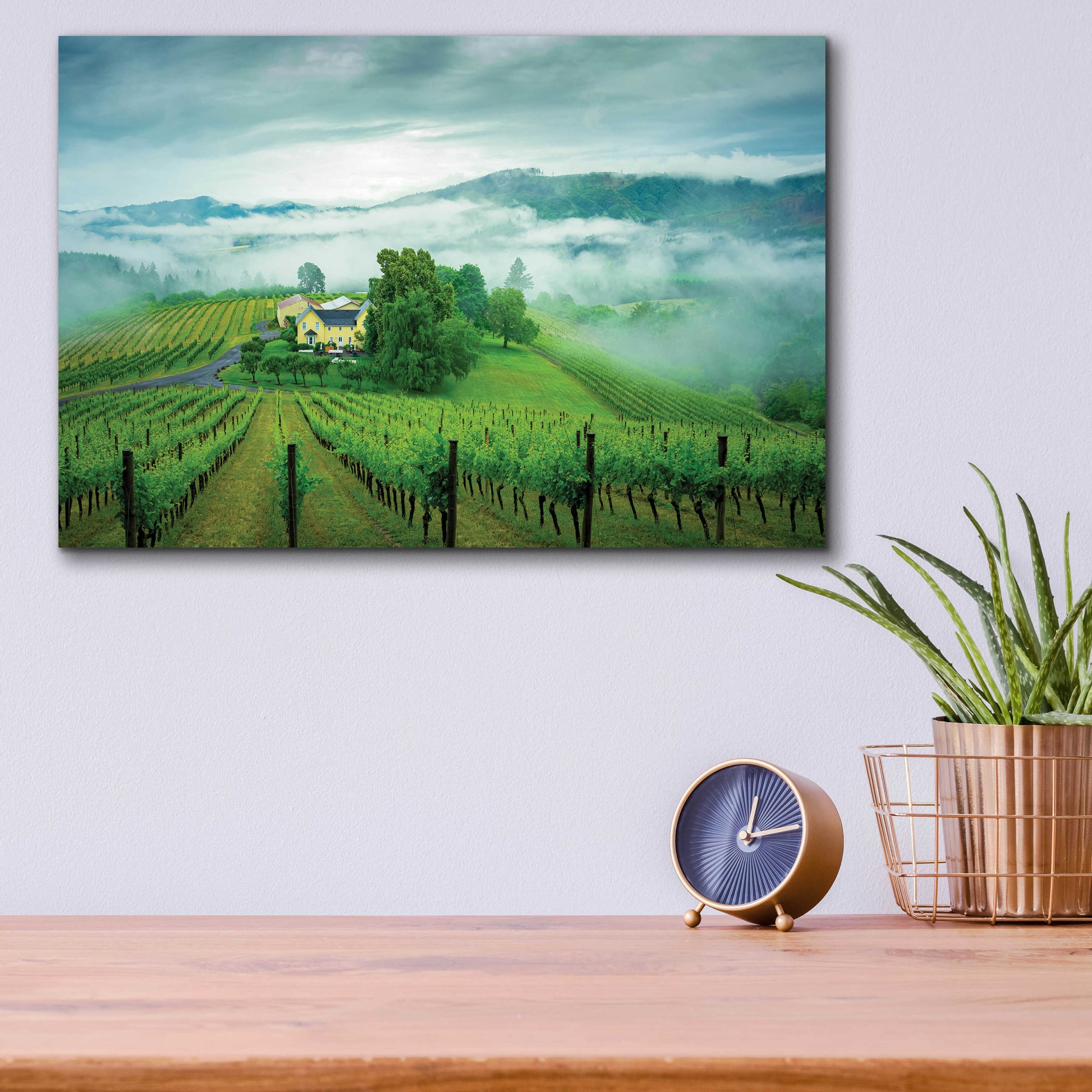 Epic Art  'Vineyard In The Mist'  by Don Schwartz, Acrylic Glass Wall Art,16x12