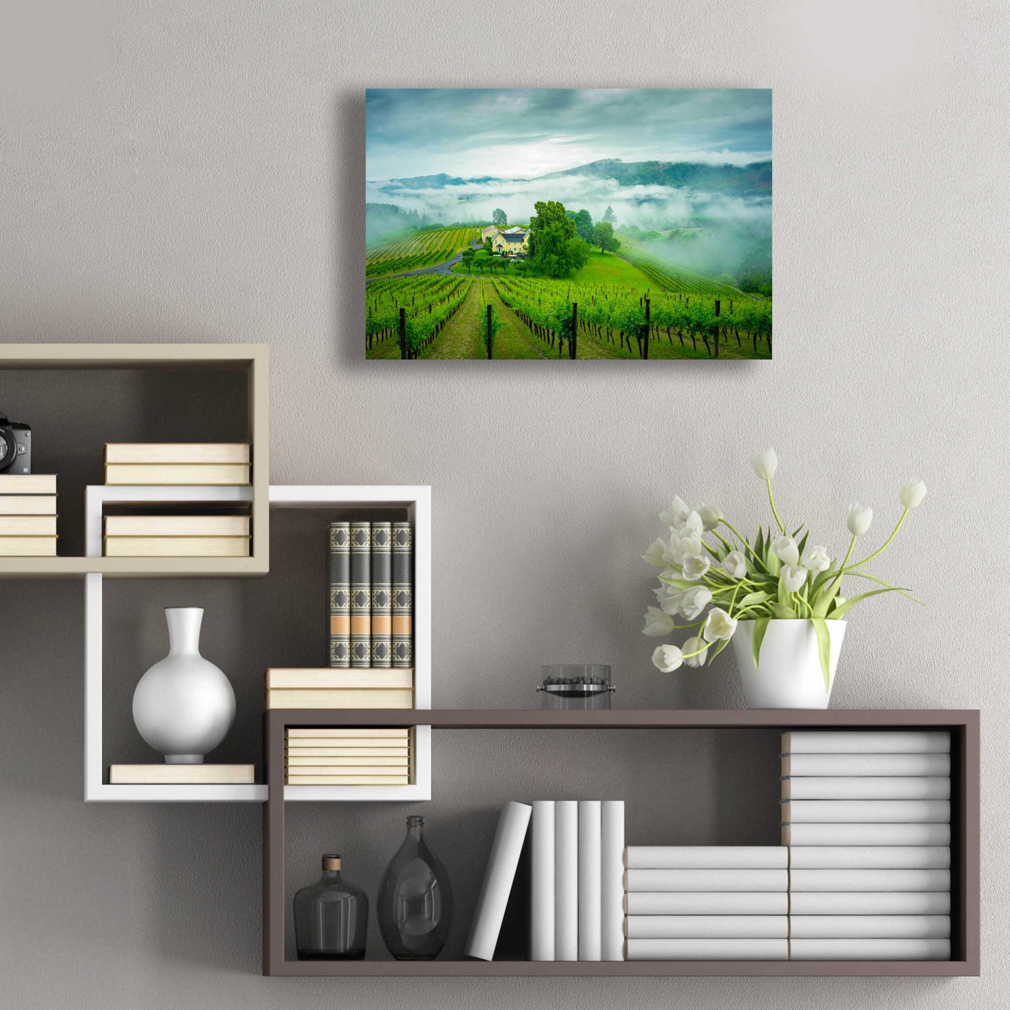 Epic Art  'Vineyard In The Mist'  by Don Schwartz, Acrylic Glass Wall Art,24x16