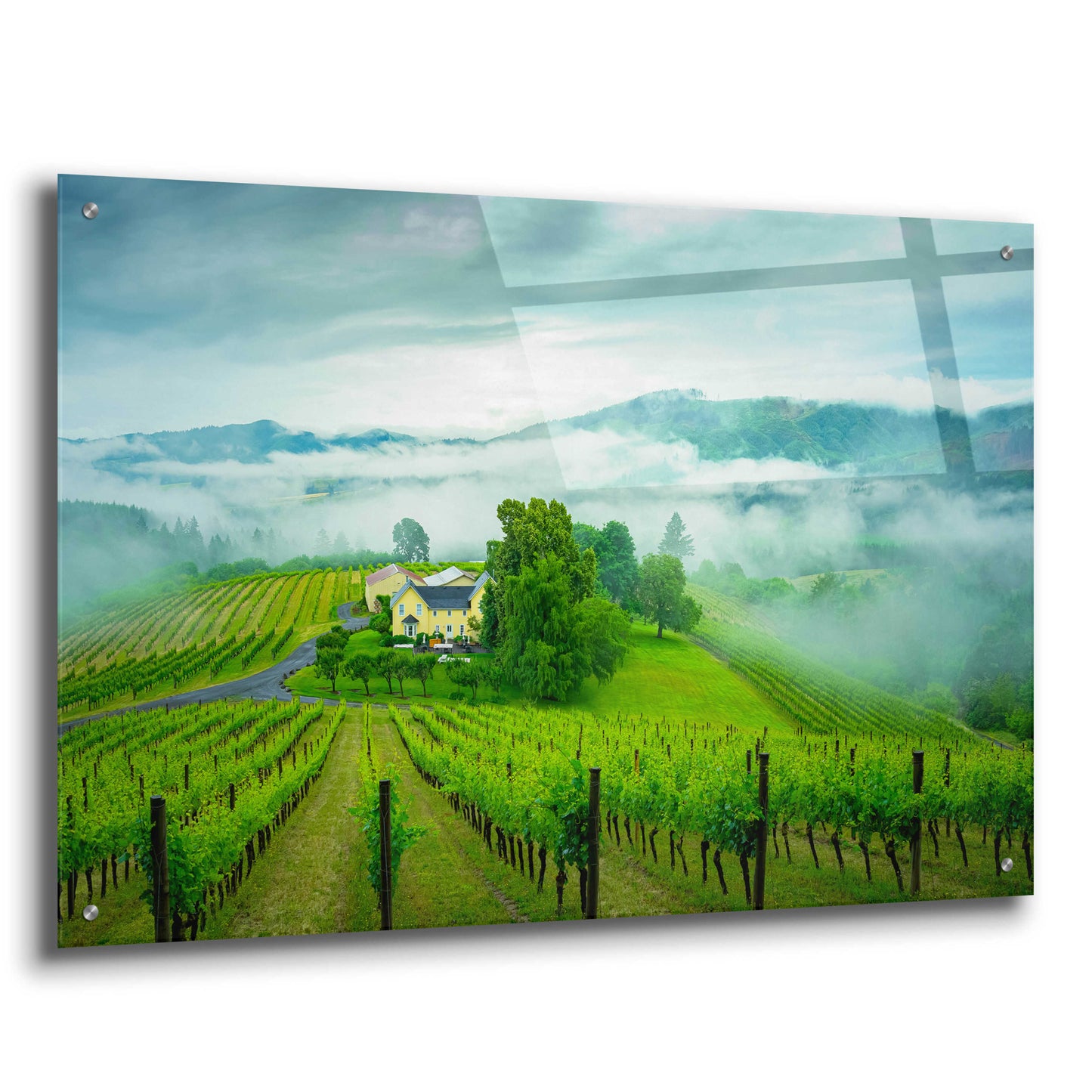 Epic Art  'Vineyard In The Mist'  by Don Schwartz, Acrylic Glass Wall Art,36x24