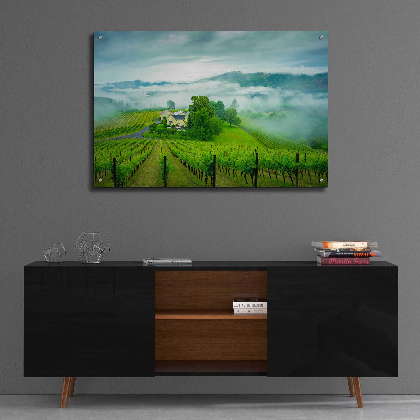 Epic Art  'Vineyard In The Mist'  by Don Schwartz, Acrylic Glass Wall Art,36x24