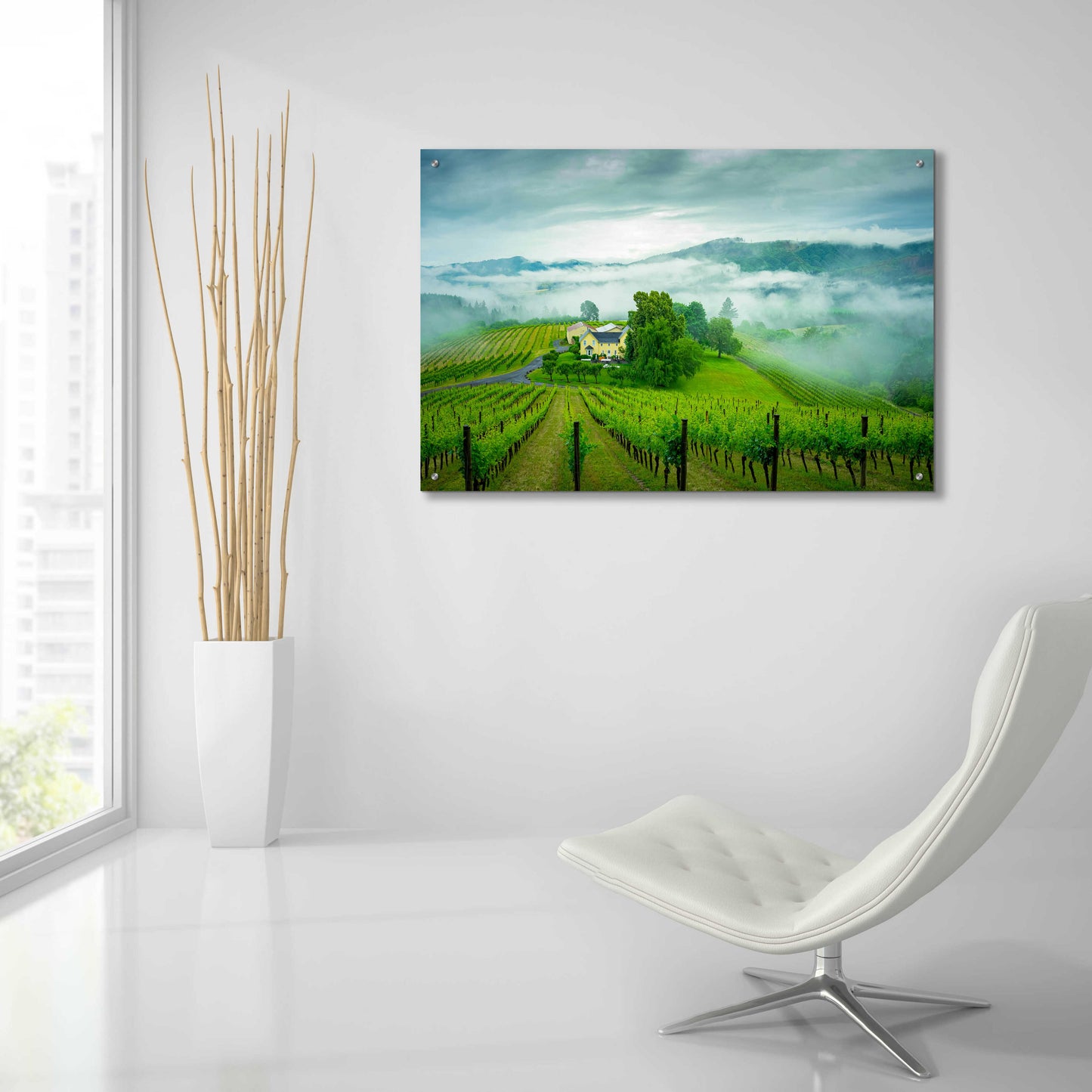 Epic Art  'Vineyard In The Mist'  by Don Schwartz, Acrylic Glass Wall Art,36x24