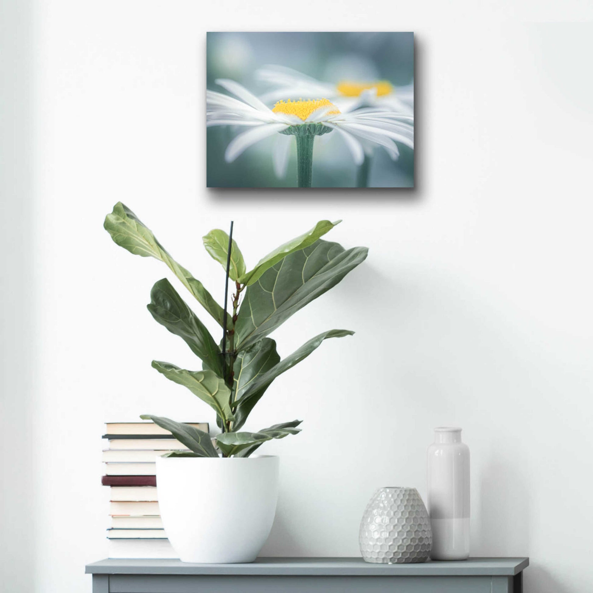 Epic Art  'Two Daisies'  by Don Schwartz, Acrylic Glass Wall Art,16x12