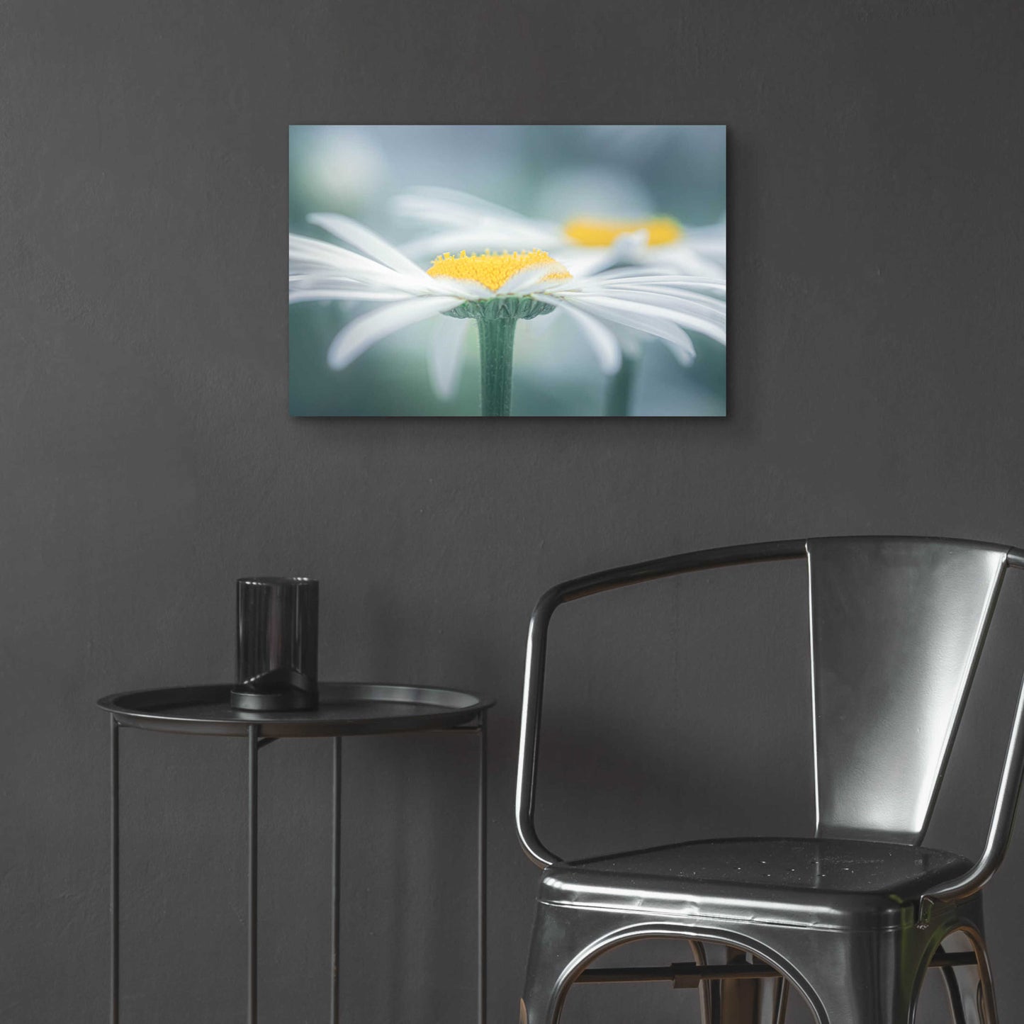 Epic Art  'Two Daisies'  by Don Schwartz, Acrylic Glass Wall Art,24x16