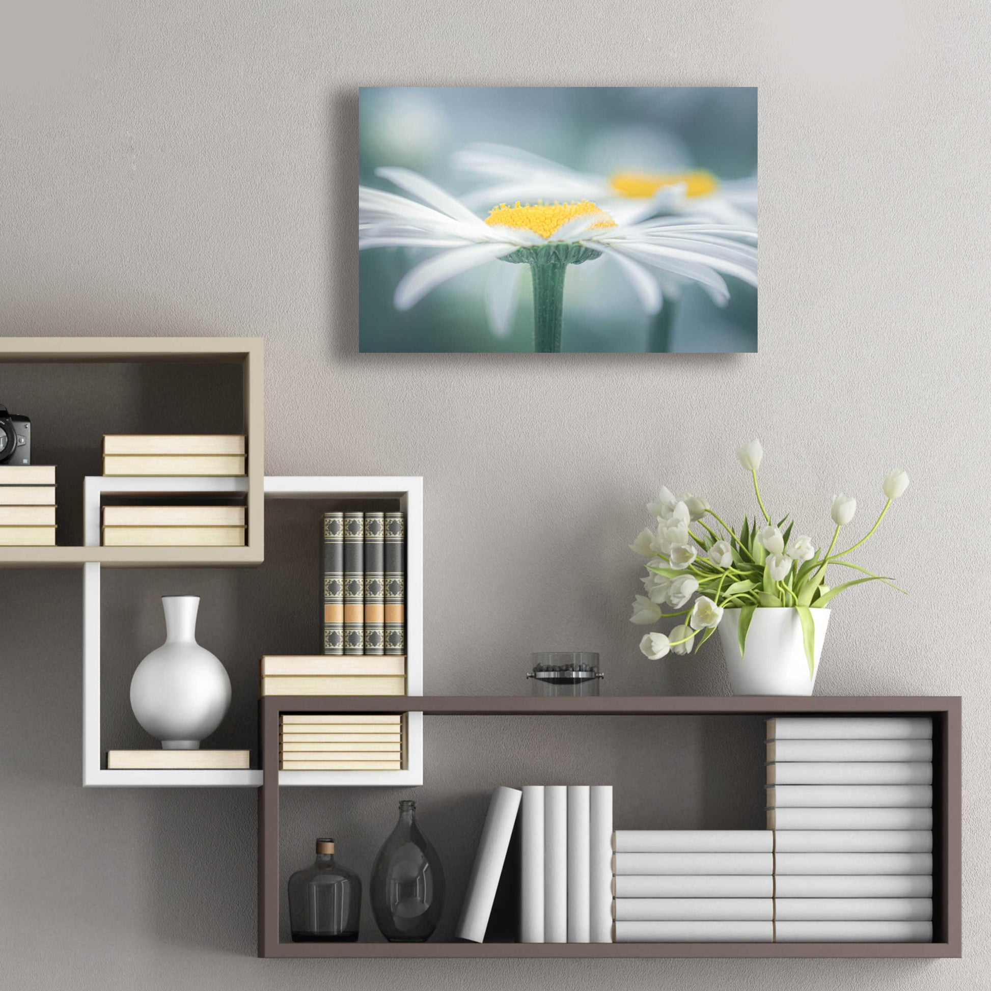 Epic Art  'Two Daisies'  by Don Schwartz, Acrylic Glass Wall Art,24x16