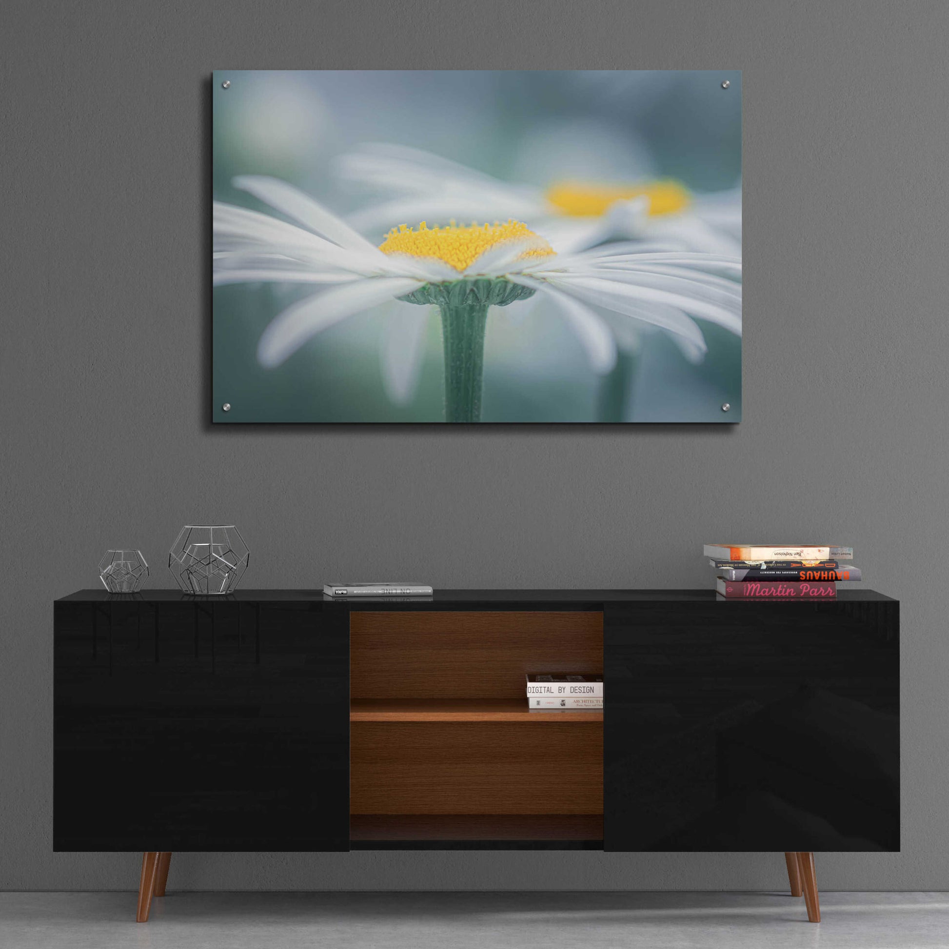 Epic Art  'Two Daisies'  by Don Schwartz, Acrylic Glass Wall Art,36x24