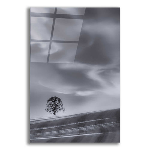 Epic Art  'Lone Tree On A Hillside'  by Don Schwartz, Acrylic Glass Wall Art