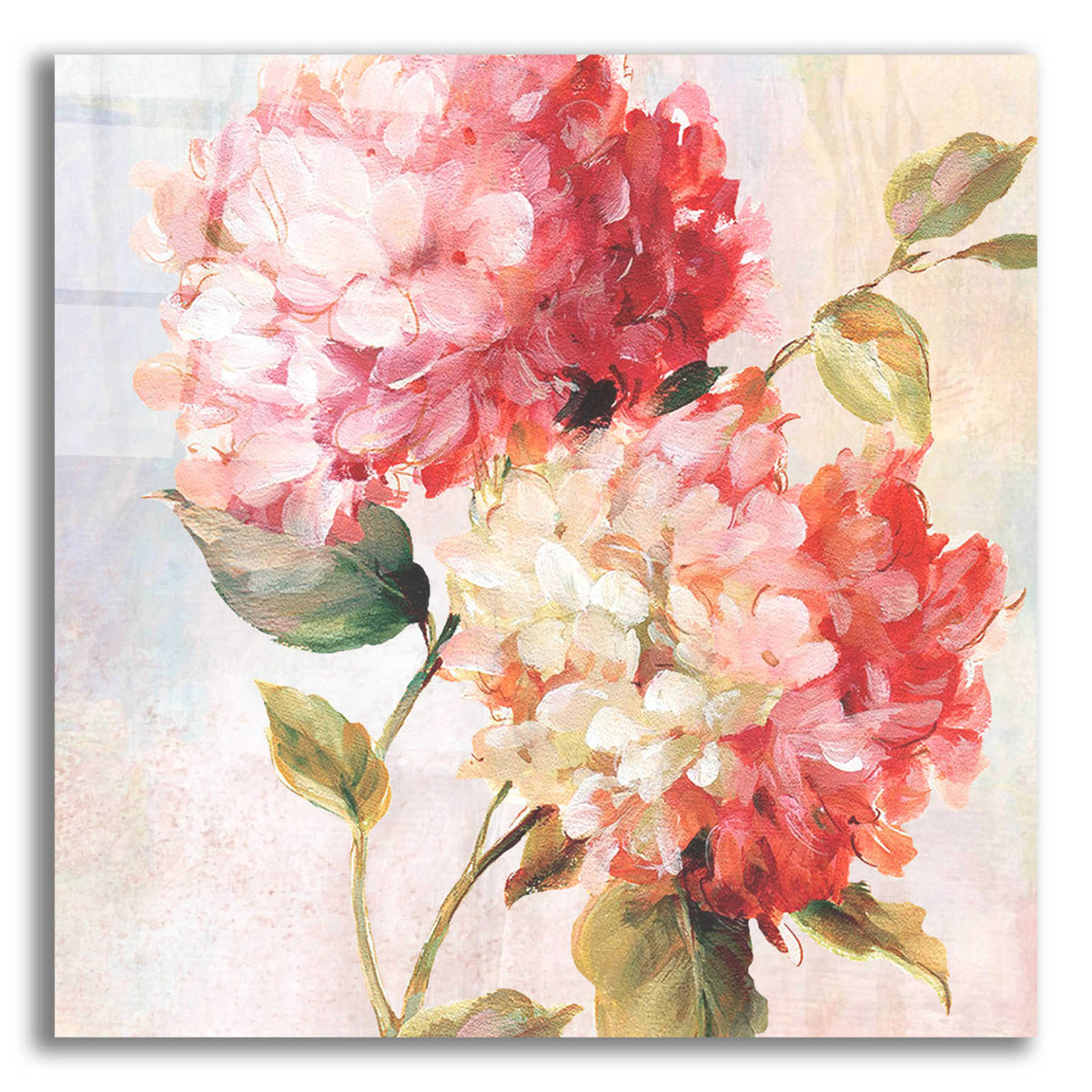 Epic Art 'Petal Paint 1' by Karen Smith Acrylic Glass Wall Art