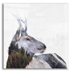 Epic Art 'Alpine Stag' by Karen Smith Acrylic Glass Wall Art