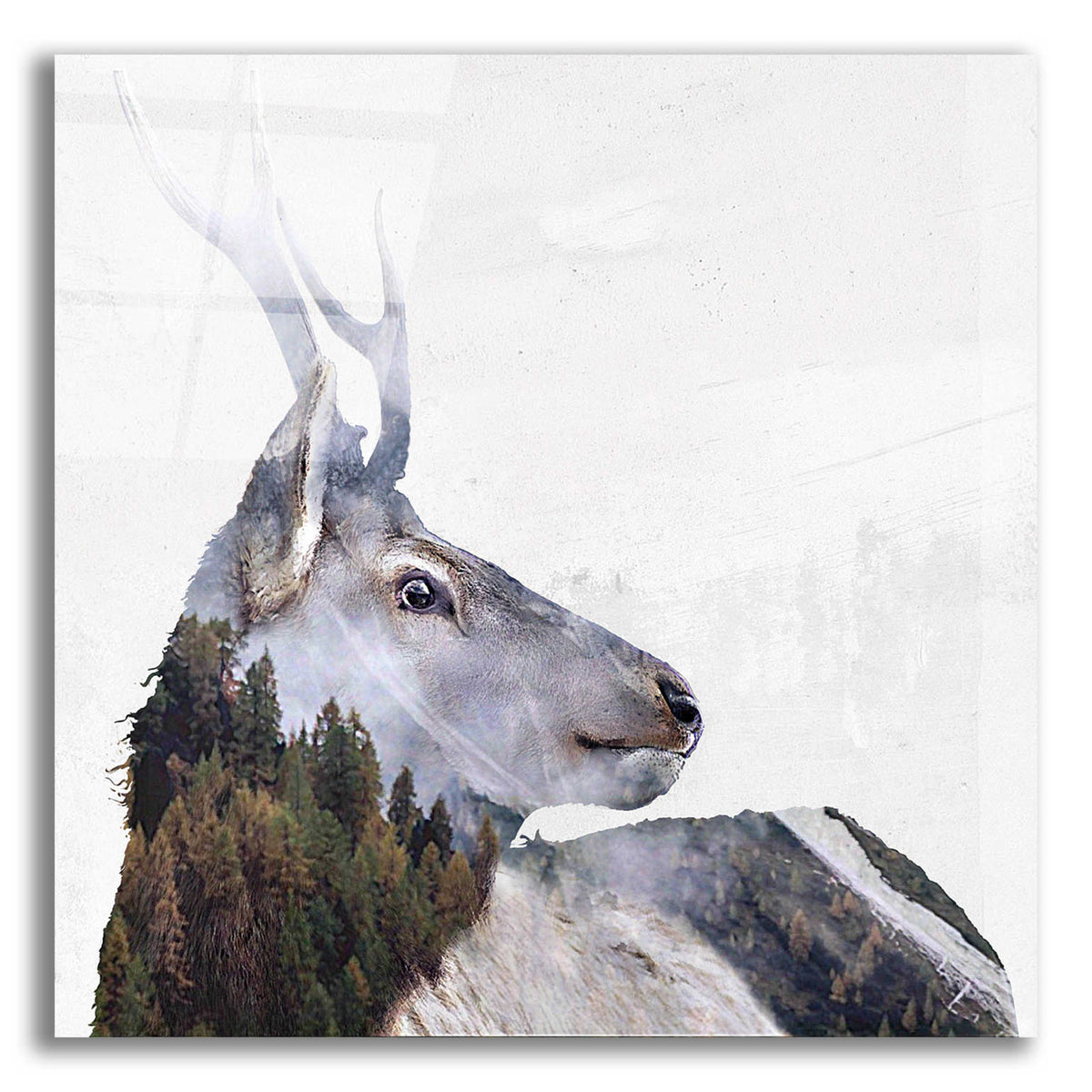 Epic Art 'Alpine Stag' by Karen Smith Acrylic Glass Wall Art