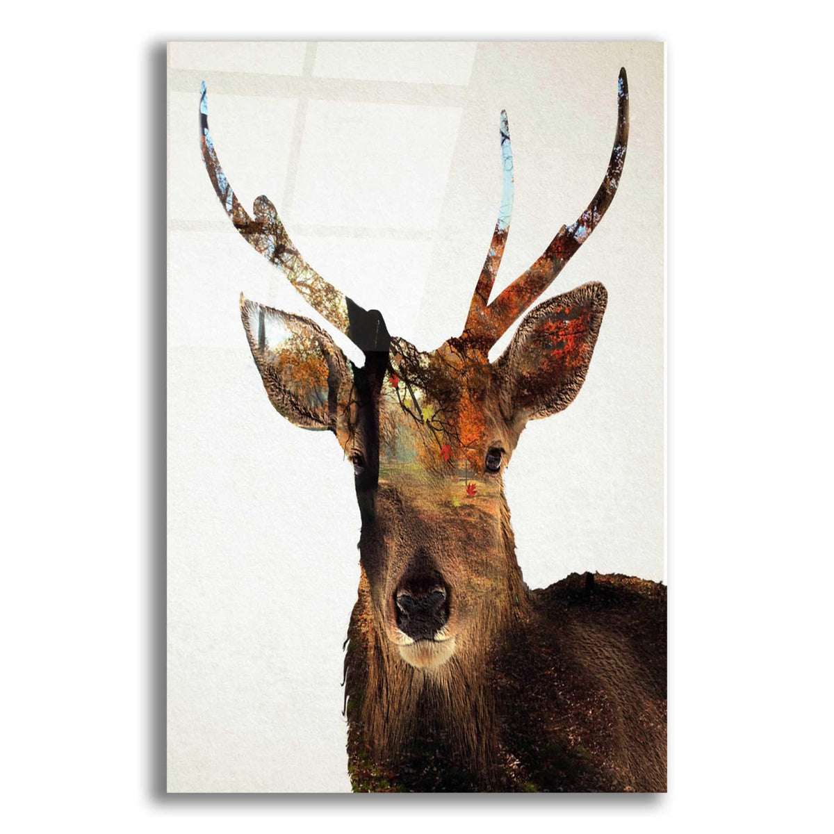 Epic Art 'Stag Forest' by Karen Smith Acrylic Glass Wall Art