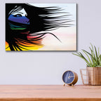 Epic Art 'Infusion' by Karen Smith Acrylic Glass Wall Art,16x12
