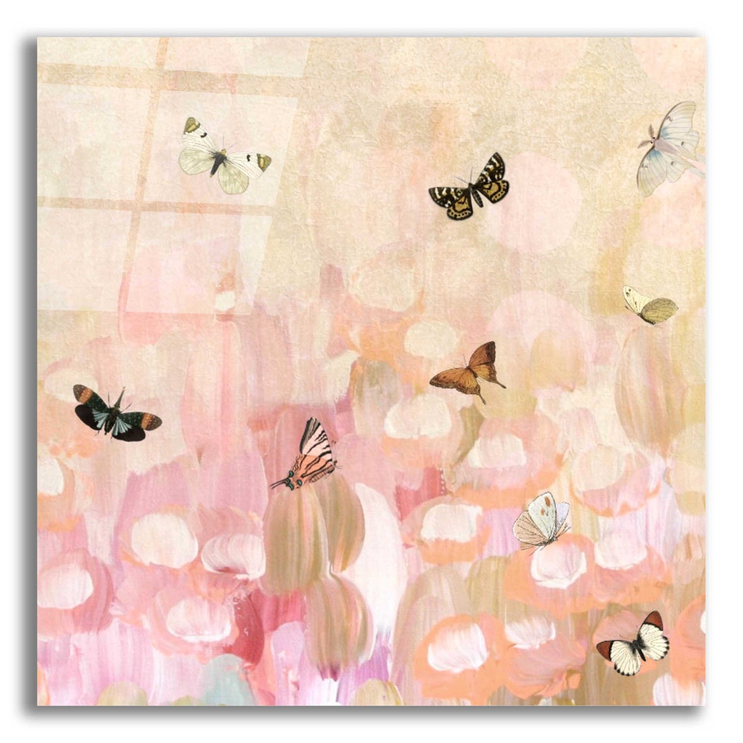 Epic Art 'Butterfly by 8' by Karen Smith Acrylic Glass Wall Art