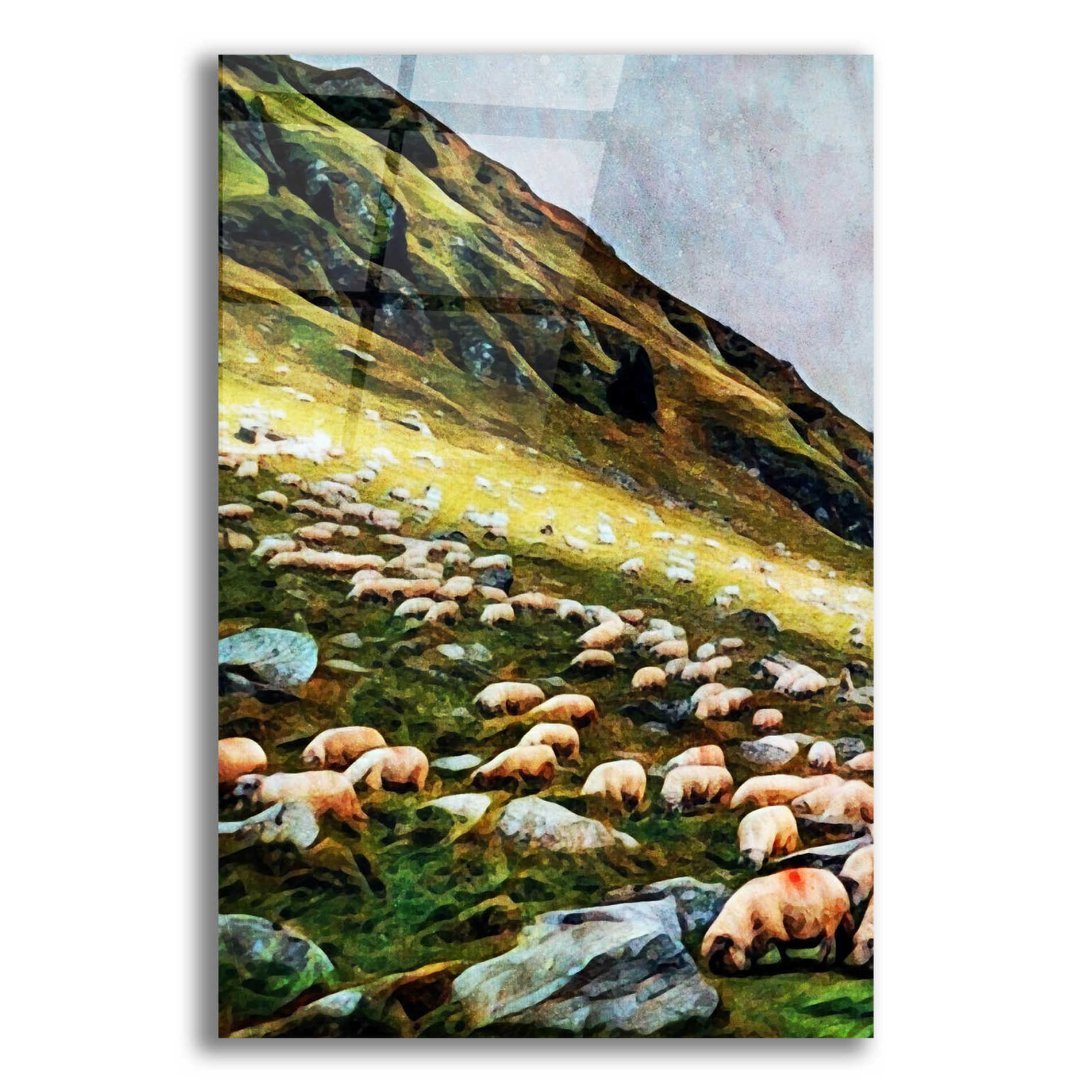 Epic Art 'Highland Hillside Herd' by Ashley Aldridge Acrylic Glass Wall Art