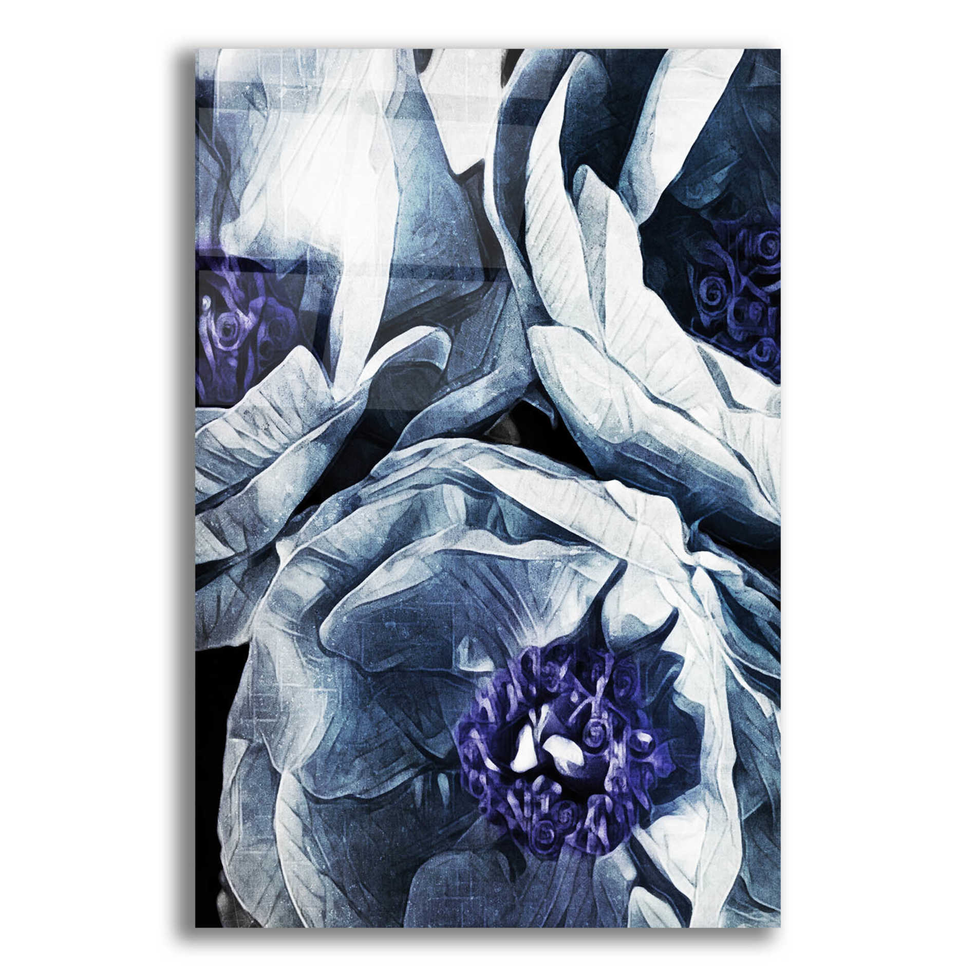 Epic Art 'Peony Blue Petals 3' by Ashley Aldridge Acrylic Glass Wall Art