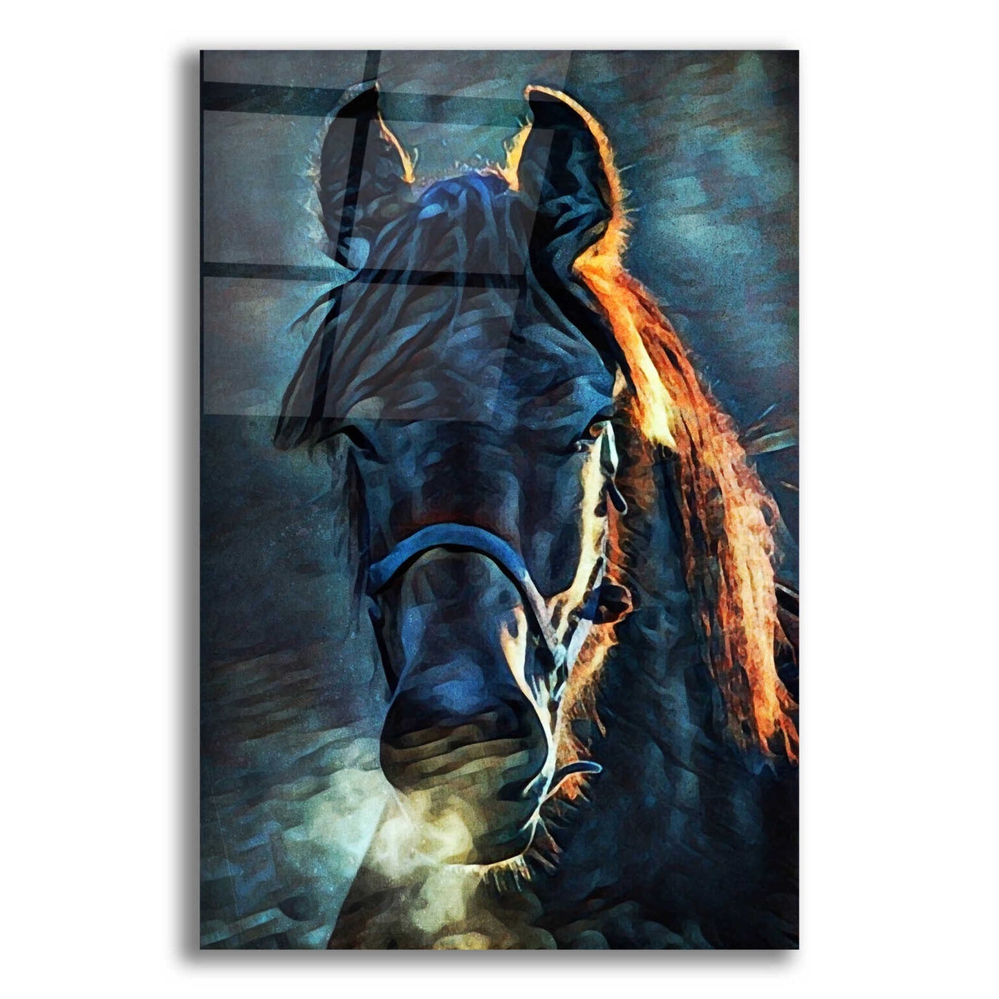 Epic Art 'Black Stallion Stare 1' by Ashley Aldridge Acrylic Glass Wall Art