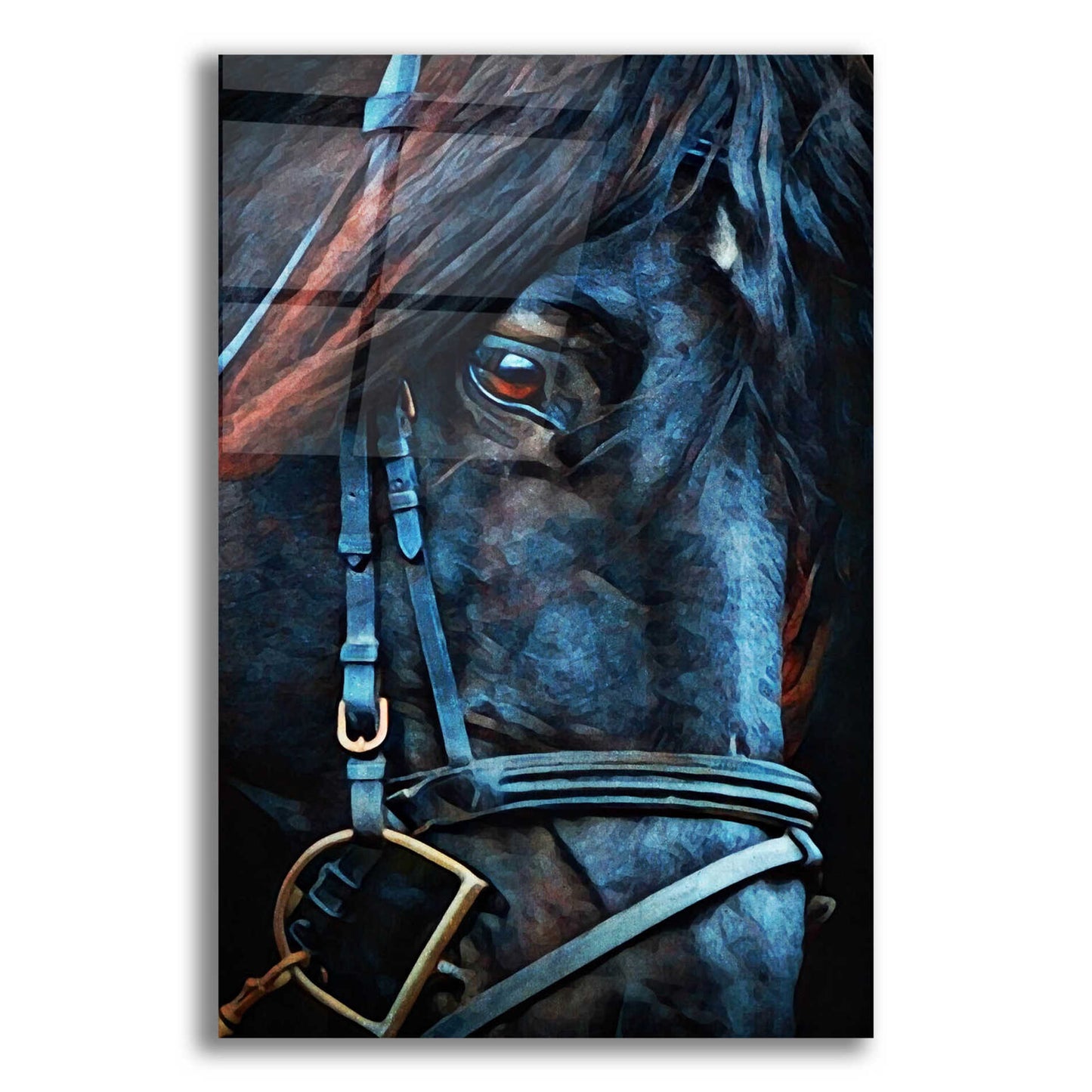 Epic Art 'Black Stallion Stare 2' by Ashley Aldridge Acrylic Glass Wall Art