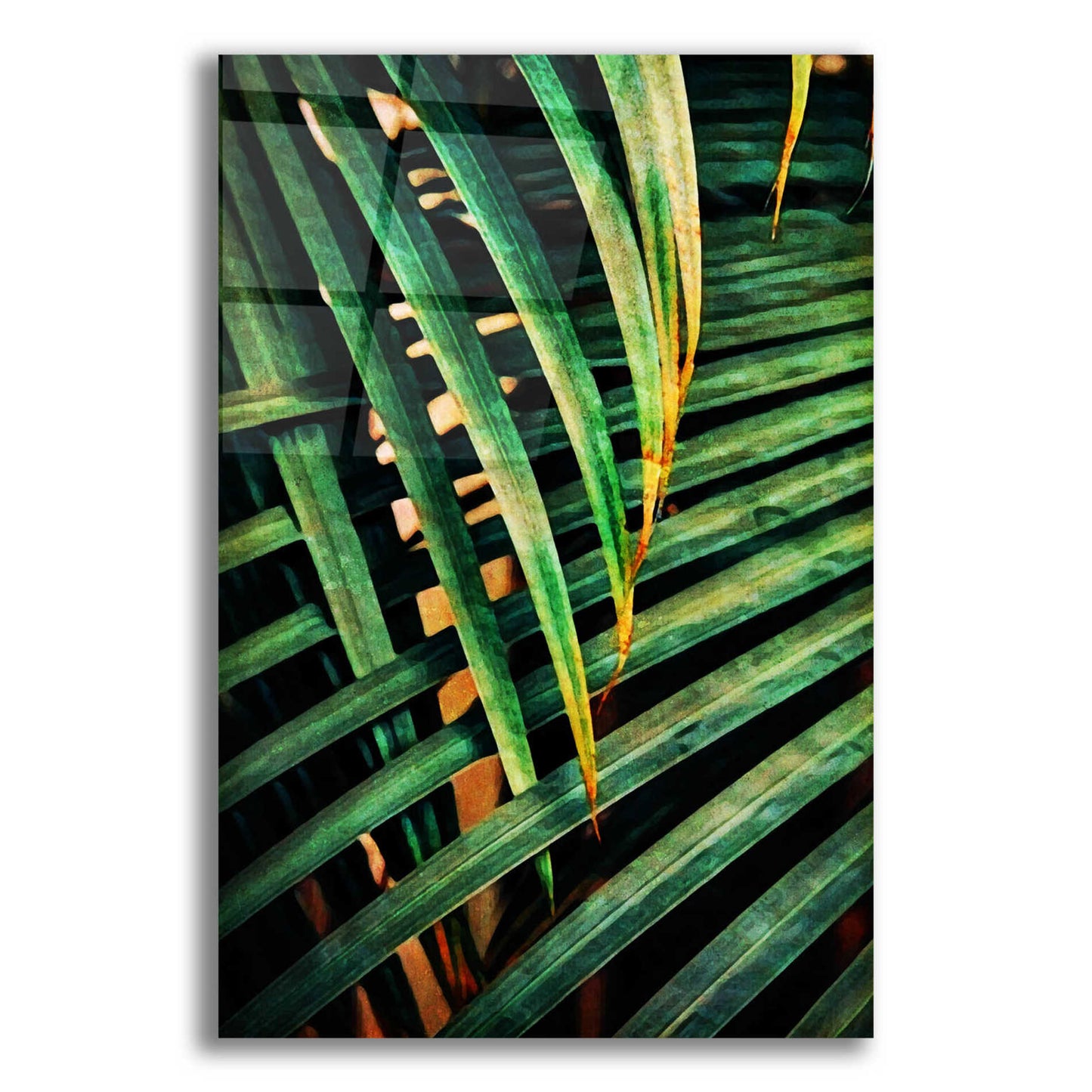 Epic Art 'Beauty Amongst Palms 2' by Ashley Aldridge Acrylic Glass Wall Art