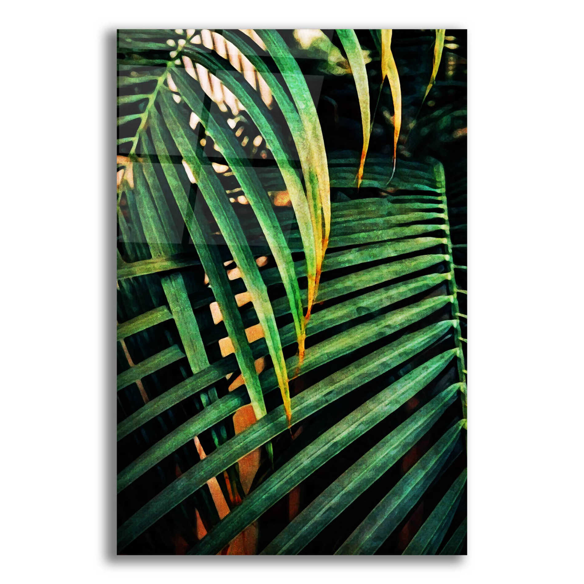 Epic Art 'Beauty Amongst Palms 3' by Ashley Aldridge Acrylic Glass Wall Art