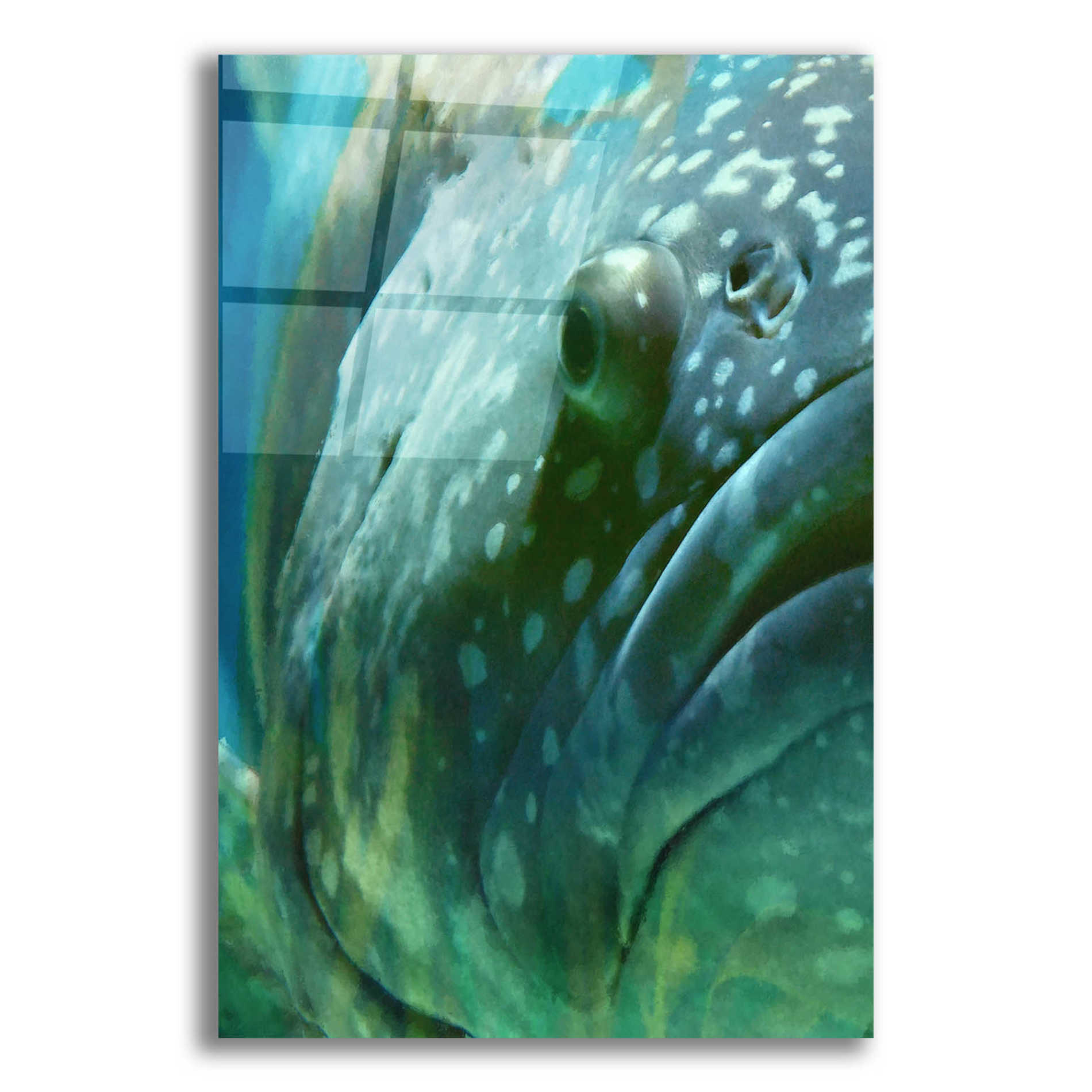 Epic Art 'Turquoise Splash One' by Steve Hunziker Acrylic Glass Wall Art