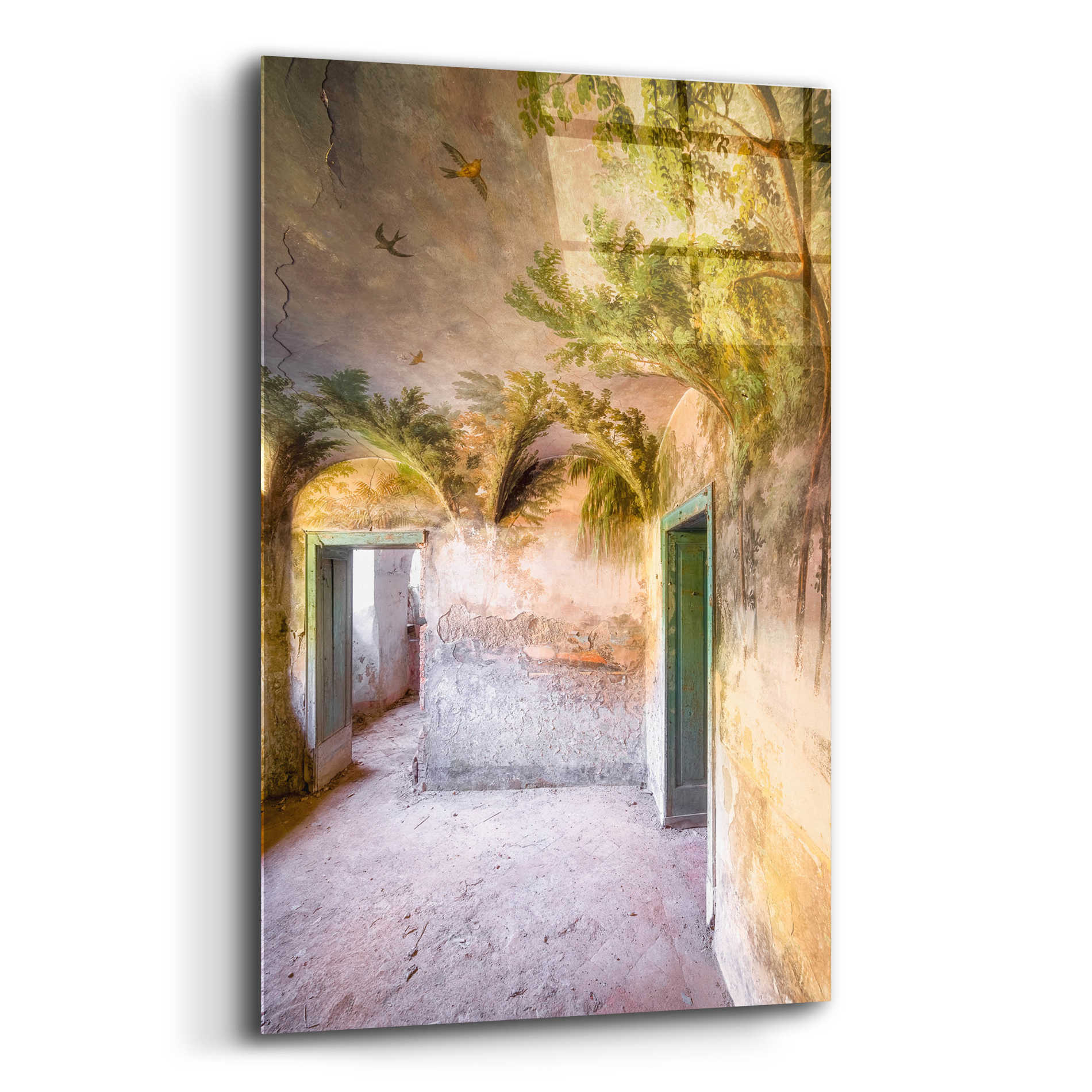 Epic Art 'Palm Room' by Roman Robroek Acrylic Glass Wall Art,12x16