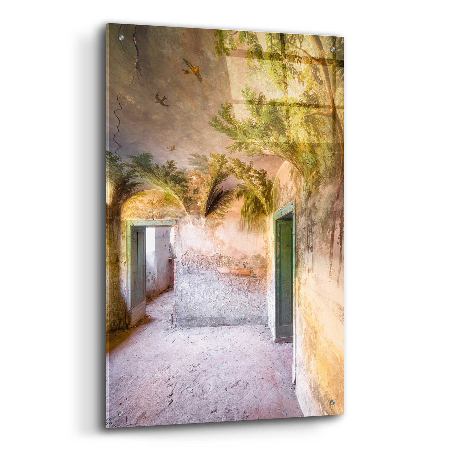 Epic Art 'Palm Room' by Roman Robroek Acrylic Glass Wall Art,24x36