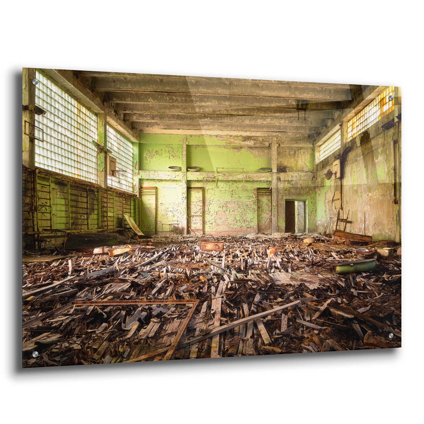 Epic Art 'Radiation Gym' by Roman Robroek Acrylic Glass Wall Art,36x24